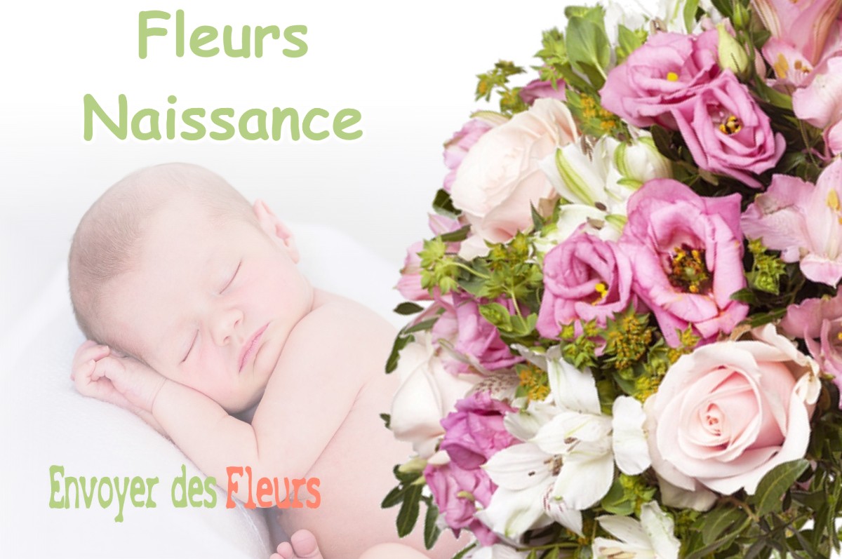 lIVRAISON FLEURS NAISSANCE à SAMOGNEUX